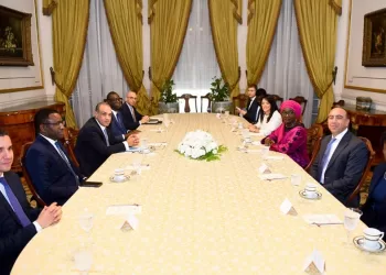 FM: Egyptian-Senegalese presidential directives to promote bilateral relations