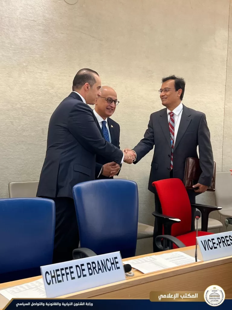 Egypt’s commitment to human rights: Progress,reforms highlighted in UN human rights council session 3 - Egyptian Gazette