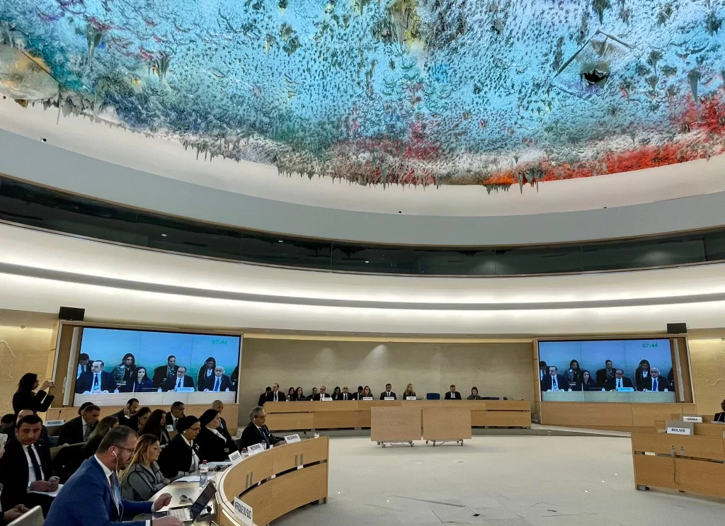 Egypt highlights progress on human rights at UPR session in Geneva 3 - Egyptian Gazette