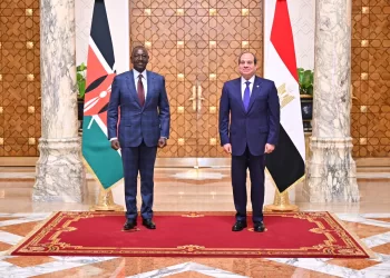 Egypt, Kenya elevate relations to strategic partnership