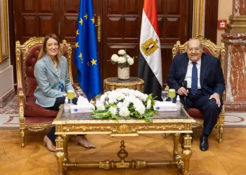 Senate speaker: Egypt keen on enhancing co-operation with EU
