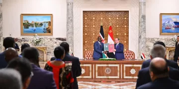 Egypt eyes vibrant ties with fellow African states