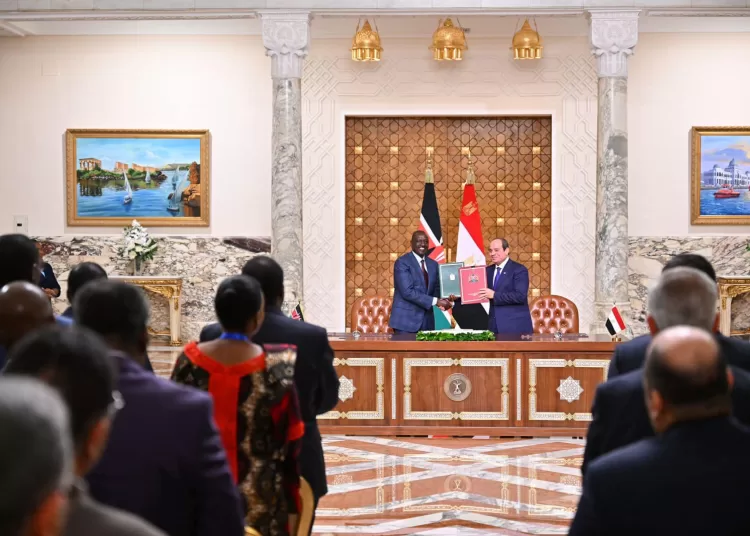 Egypt eyes vibrant ties with fellow African states 1 - Egyptian Gazette