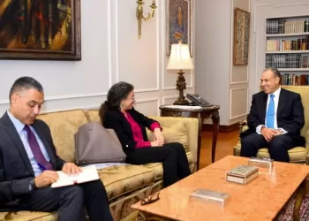 FM: Egypt to proceed with its efforts to help Libyan parties reach Libyan-Libyan solution