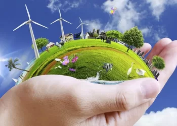 WEF report: Egypt’s green innovation takes off