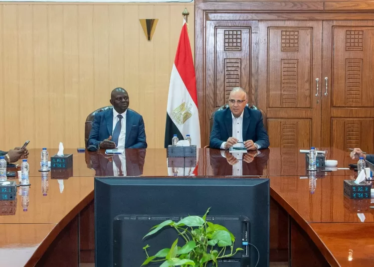 Cairo, Abuja boost water links 1 - Egyptian Gazette