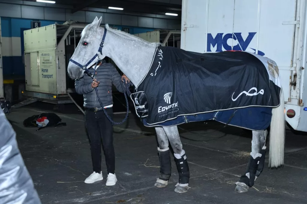 EgyptAir becomes official carrier for equestrian team at Qatar Championship 4 - Egyptian Gazette EgyptAir becomes official carrier for equestrian team at Qatar Championship 3 - Egyptian Gazette