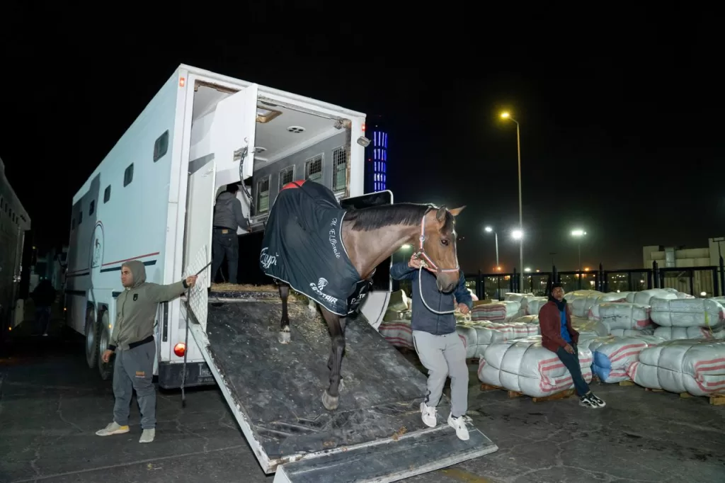 EgyptAir becomes official carrier for equestrian team at Qatar Championship 8 - Egyptian Gazette EgyptAir becomes official carrier for equestrian team at Qatar Championship 7 - Egyptian Gazette