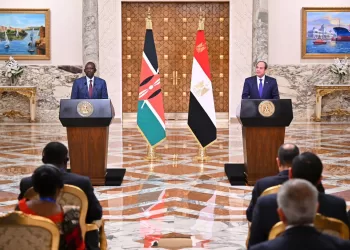 Egypt keen on working with Trump to achieve peace in ME based on two-state solution