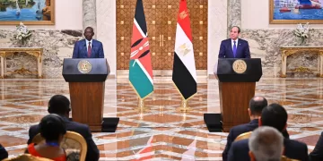 Egypt keen on working with Trump to achieve peace in ME based on two-state solution