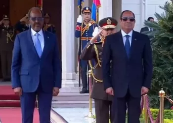 Sisi receives Somali president at Ittihadiya Palace