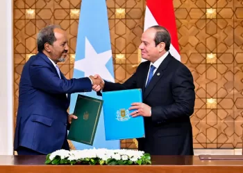 Egypt, Somalia announce strategic partnership to strengthen relations