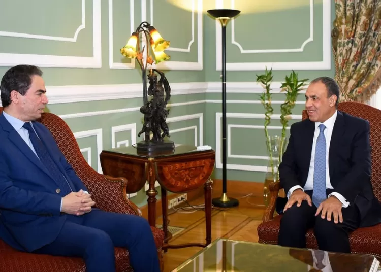 FM in talks with NMA head over regional, int'l challenges 1 - Egyptian Gazette