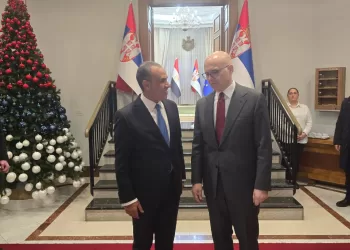 FM lauds growing Egyptian-Serbian relations