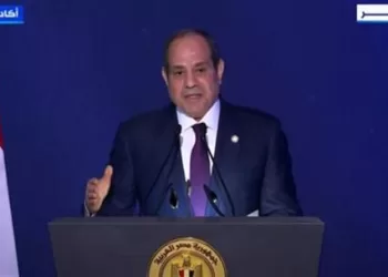 President Sisi: Egypt lives in peace, safety thanks to sacrifices of martyrs, wounded