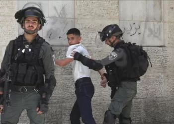 Israeli forces detain 20 Palestinians across West Bank