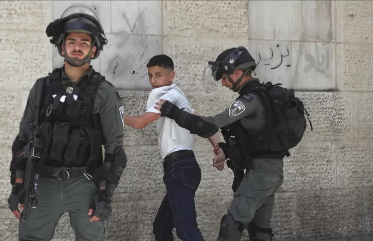 Israeli forces detain 20 Palestinians across West Bank 1 - Egyptian Gazette