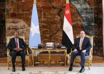 Sisi says Somalia’s security, stability integral part of Egypt’s national security