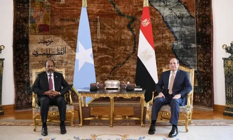 Sisi says Somalia's security, stability integral part of Egypt's national security 2 - Egyptian Gazette Sisi says Somalia's security, stability integral part of Egypt's national security 1 - Egyptian Gazette