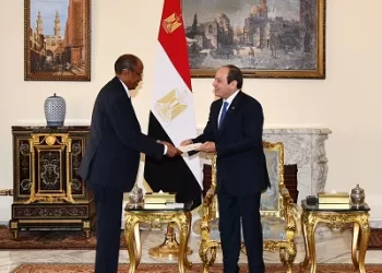 Egypt, Djibouti highlight importance of restoring Bab al-Mandab security, normal Red Sea navigation