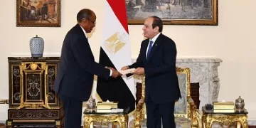 Egypt, Djibouti highlight importance of restoring Bab al-Mandab security, normal Red Sea navigation