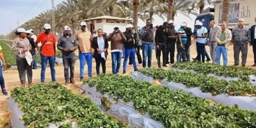 Irrigation min.: Keen on supporting African brethren through training programs 1 - Egyptian Gazette Irrigation min.: Keen on supporting African brethren through training programs