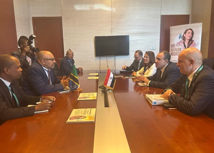 FM stresses importance of continued cooperation with Tanzania in infrastructure projects 1 - Egyptian Gazette