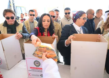 Health, social solidarity ministers, AL delegation start visit to N. Sinai