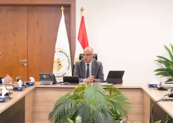 Egypt, Japan discuss bilateral cooperation in water resources
