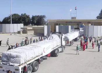110 aid trucks enter Gaza Strip