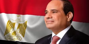 ‘Egyptians united behind President Sisi against Palestinian displacement’