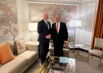 FM asserts full Arab consensus on rejecting displacement of Palestinians