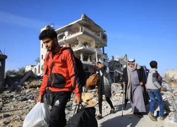 Egypt firmly rejects any proposal to liquidate Palestinian cause