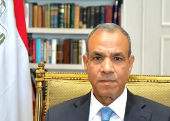 FM: Sisi’s visit to Madrid reflects amicable Egyptian-Spanish ties