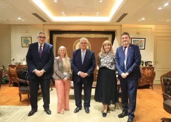 Egypt, UK seek to boost higher education co-operation