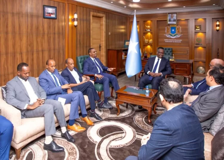Somali justice min. expresses keenness on boosting judicial coop. with Egypt 2 - Egyptian Gazette Somali justice min. expresses keenness on boosting judicial coop. with Egypt 1 - Egyptian Gazette