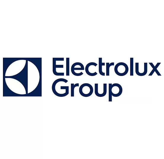 Electrolux Group to retain in Egypt, focus on growth, exports 1 - Egyptian Gazette