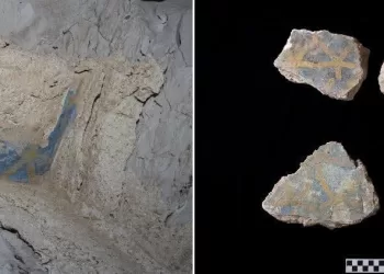 Lost tomb of King Thutmose II unearthed in Luxor  