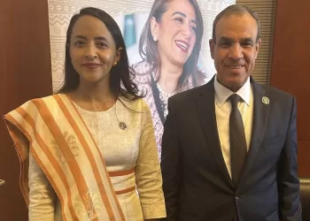 FM stresses importance of promoting economic, trade cooperation between Egypt, Madagascar