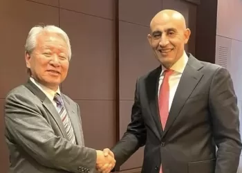Cairo, Tokyo boost educational co-operation