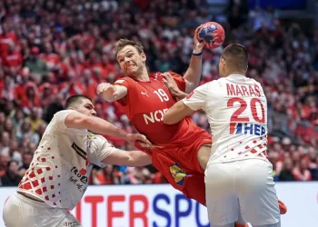 Denmark secures gold at Handball World Championship
