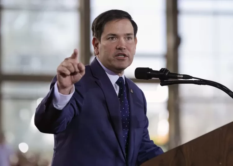 US Secretary of State to skip G20 summit 2 - Egyptian Gazette US Secretary of State to skip G20 summit 1 - Egyptian Gazette