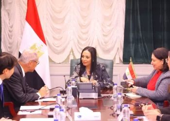 Cairo, Tokyo probe future co-operation