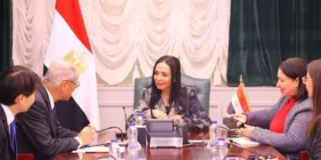 Cairo, Tokyo probe future co-operation