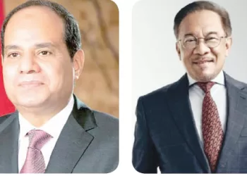 Sisi, Ibrahim keen on boosting economic, investment ties