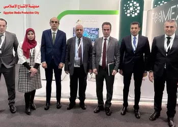 Gibali: Egyptian-Saudi strategic relations see depth, strength