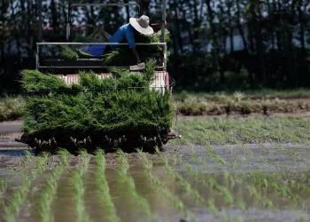 WB: Global food security hits alarming levels 