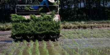 WB: Global food security hits alarming levels 