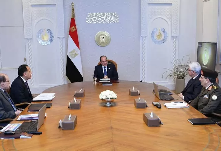 Sisi commends optimised digitisation of higher education, research  mechanisms, deliverables 1 - Egyptian Gazette