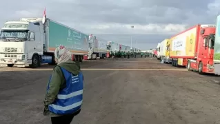 115 aid trucks enter Gaza Strip